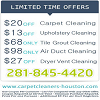 Houston Carpet Cleaners