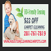 Houston Cleaning Carpets TX