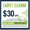 Steam Carpet Cleaning The Woodlands TX